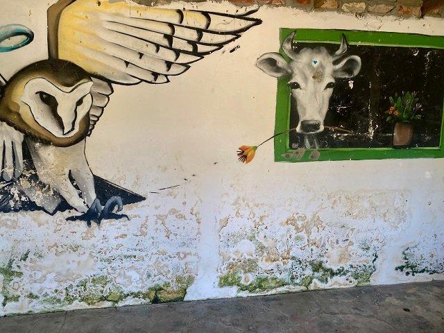 0 Bedroom Property for Sale in Crofters Valley Western Cape